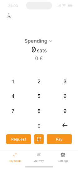 Payments screen with amount input